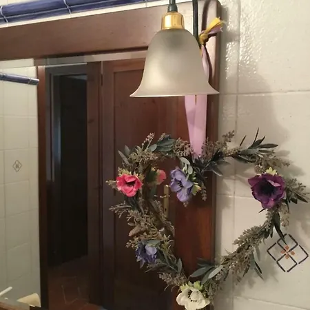 Il Montetto Mare E Natura Appartement *